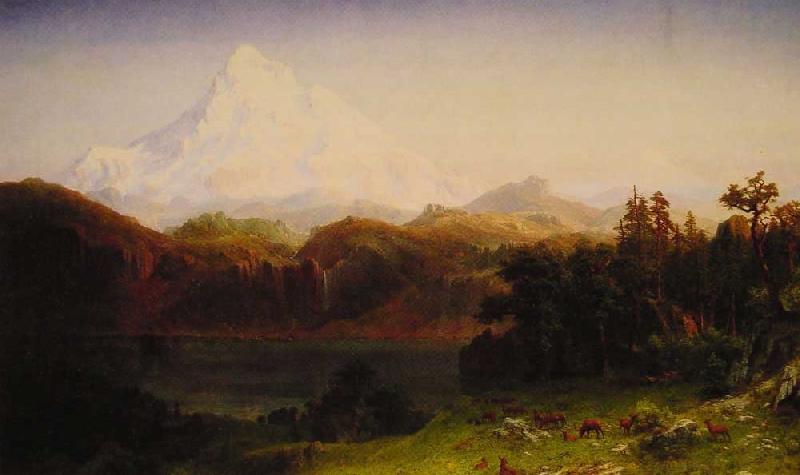 Albert Bierstadt Mount Hood, Oregon oil painting image